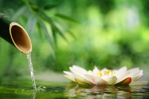 shutterstock_141597184