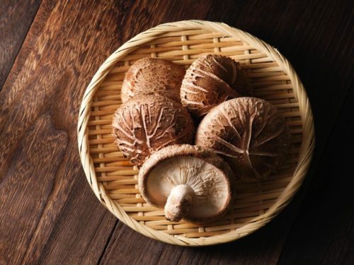 Shiitake